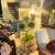  Румбокс Darcy Flower House ★ Hongda Craft M2322z + пилозахисний купол, фотографія 49 
