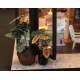  Румбокс Coffee House ★ Hongda Craft M027​, фото 34 